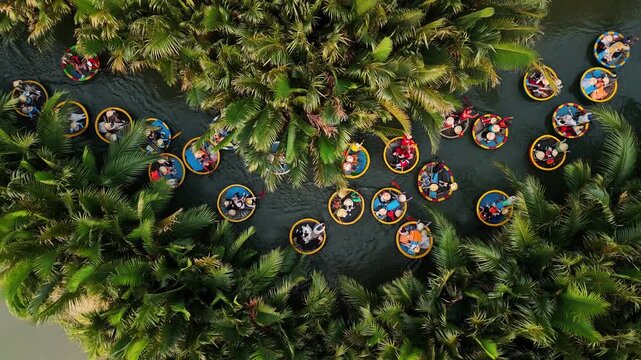 Aerial view of tourists riding on bamboo basket boats on a river through a lush coconut palm forest in da nang, vietnam