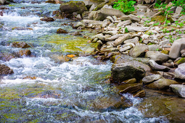 fragment of a mountain river in lush green forest. rapid stream flowing between moss covered rocks. nature vertical background with brook in spring in alpine region of ukraine