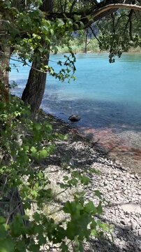 Small pebble stones beach shore of river Linth in Switzerland in the summer, vertical format video