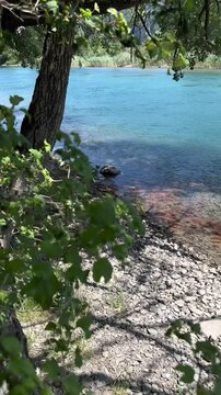 River Linth in Switzerland small pebble stones shore in the summer, vertical format video