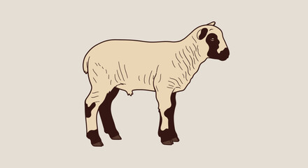Fototapeta premium Lamb Standing Profile Vector Flat Illustration