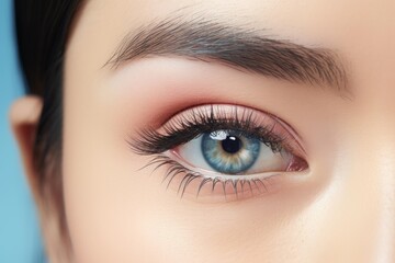Fototapeta premium Woman's eye with a blue iris, groomed eyebrow, and long eyelashes