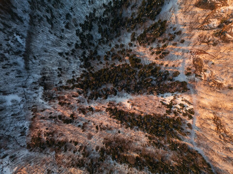 Aerial view of contrasting snow-covered trees bathed in golden sunlight alongside shadowy, frosty woods, Skalka, Banska Bystrica Region, Slovakia.