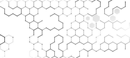 Fototapeta premium Abstract Minimalist Hexagonal Network Background with Gray Linear Geometric Shapes