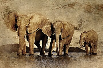 Elephant family matriarch and calf drink water creating tranquil sepia tone memory © SKILLTAKES.COM