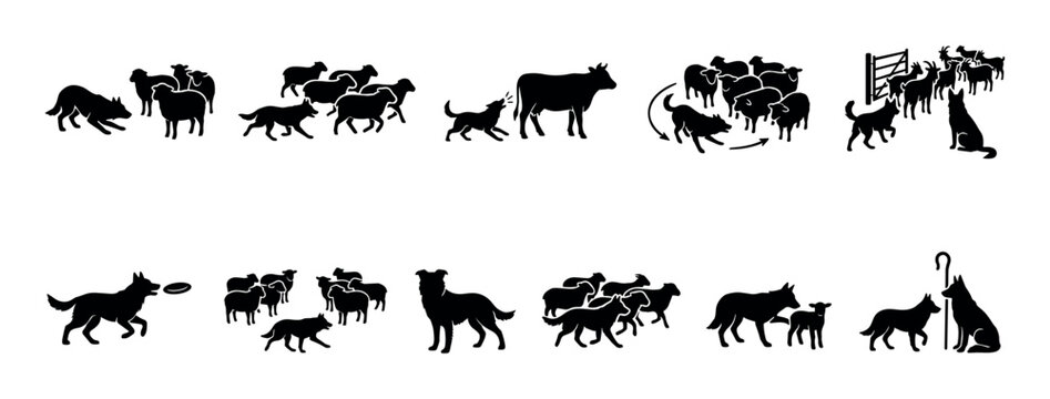 Set of black herding dog silhouettes showing various farm activities like guarding sheep, goats, and cattle, presented as a collection of minimalist icons isolated on a white background