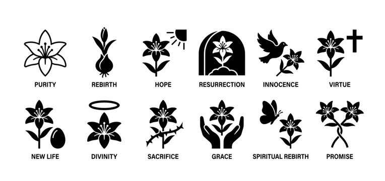Set of black lily flower icons representing spiritual and religious symbolism like purity, rebirth, and resurrection, a minimalist glyph collection isolated on a white background