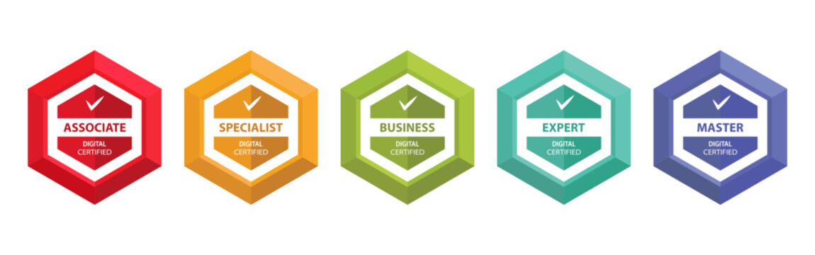 Digital certification badge set. Hexagonal level icons with professional labels. Color business achievement symbols isolated
