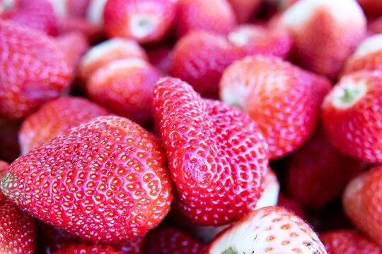 A close-up, high-detail shot captures a vibrant pile of fresh red strawberries. Bathed in bright, natural light from above, their textured skin and tiny yellow achenes are sharply in focus. 