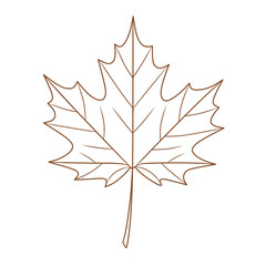 Fototapeta premium Botanical Maple Leaf Line Art Vector Minimalist Natural Foliage Illustration