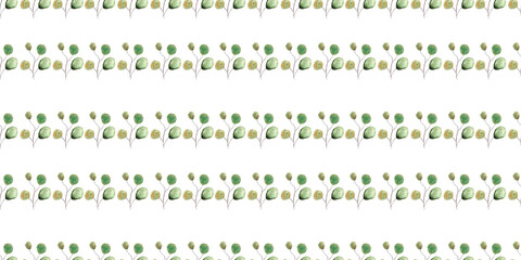 green eucalyptus watercolor leaves on white background, hand drawn © elenaseiryk