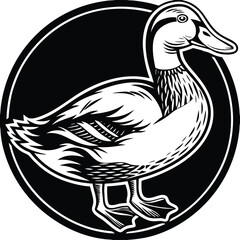 Fototapeta premium Vector duck illustration in black and white