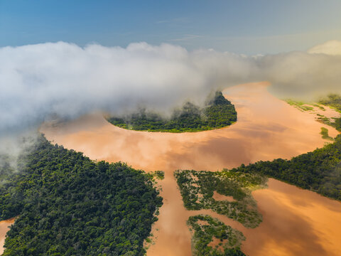 Aerial view of the muddy river snaking through the dense emerald rainforest, partially obscured by fluffy white clouds, Leticia, Amazonas, Colombia.