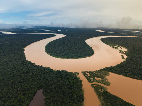 Aerial view of the sinuous river snaking through the dense, emerald rainforest, its muddy waters contrasting with the lush greenery, Leticia, Amazonas, Colombia.