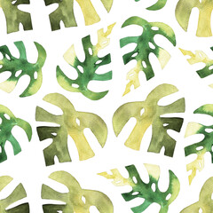 seamless pattern of monstera and philodendron watercolor leaves hand drawn on white background © elenaseiryk