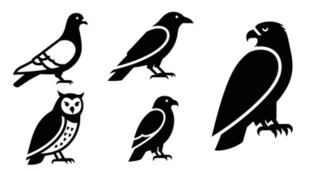 Fototapeta premium Diverse Bird Silhouettes Set: Pigeon, Crow, Owl, and Hawk Icons