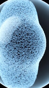 Detailed 3D CGI Visualization of Crystalline Lens Protein Structures and Fiber Network for Ophthalmic Education and Medical Presentations