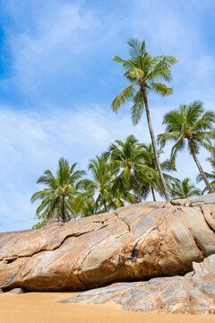 Kokospalmen und Felsen an goldenem Sandstrand