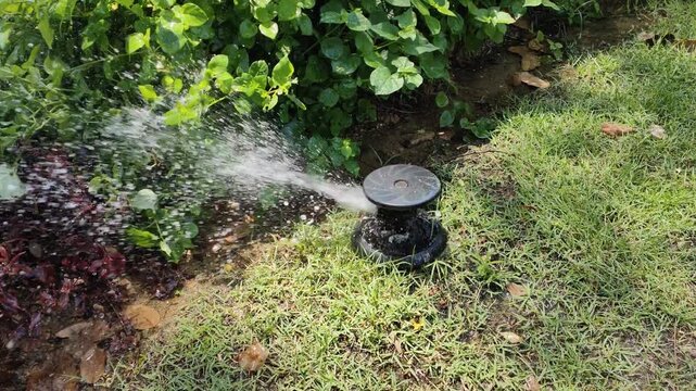 Sprinkler/Automatic watering of plants/sprinkler spraying water