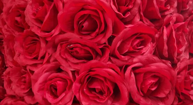 red roses background\close up of red roses