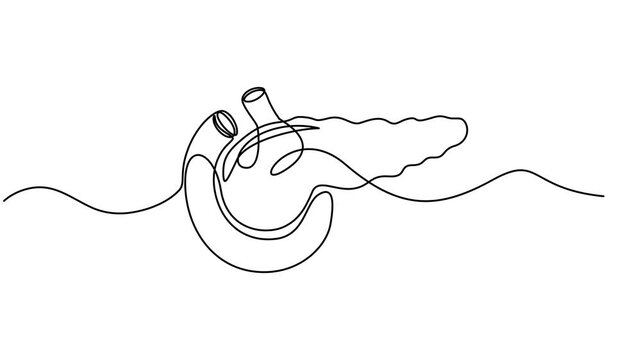pancreas continuous one line drawing, Human pancreas one line art. Continuous line drawing of human, internal, organs, pancreas, full length animation video, motion graphic, Pancreas organ icon line