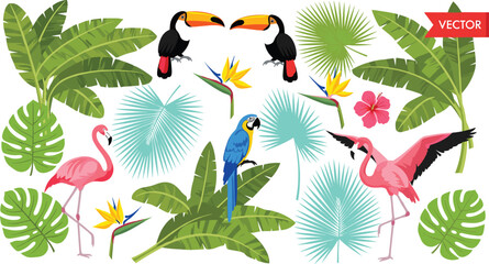 Fototapeta premium Tropical Jungle Vector Set with Palm Leaves, Toucan, Flamingo, Parrot, Banana Plants, and Exotic Summer Floral Elements