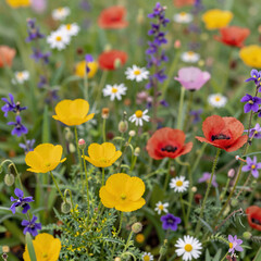 Obraz premium noir, easter egg line art, coloring book style illustration