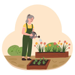 Fototapeta premium Elderly woman gardening and watering flowers in raised flower beds. Elderly set