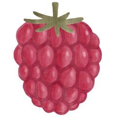 raspberry watercolor