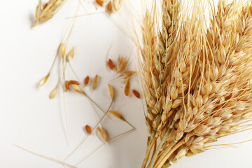 Naklejka premium Wheat stalks and grains arranged on a white surface in a natural setting