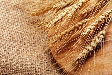 Naklejka premium Wheat stalks laid on a wooden board with burlap fabric as background