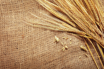 Wheat stalks on burlap fabric in a rustic setting during harvest season