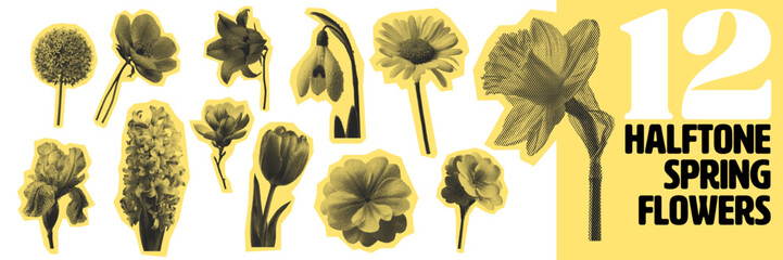 Naklejka premium Spring flowers collection with halftone pattern. botanical illustrations on white background for modern design use