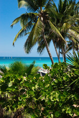 Obraz premium Varadero, Cuba; 04.07.2023. Beautiful, colourful sunset on the beach in Varadero, Cuba! Cote d'Azur of the Atlantic Ocean, next to the Caribbean Sea. Cuba wild palm beach background. Nature blue sea l