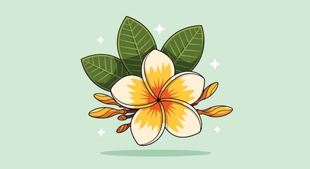 Beautiful Plumeria Flower with Green Leaves Illustration. © NFS Studio