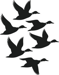 Fototapeta premium Flock of flying ducks silhouette vector graphic