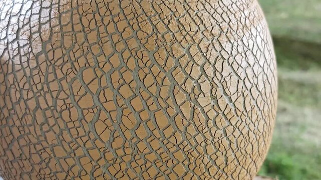 The surface of the clay pot is covered with cracked patterns.