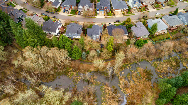 Aerial view of homes nestled beside a sprawling wetland, where the stark contrast between urban development and untamed nature is vivid, Sherwood, Oregon, United States.