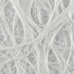 Fototapeta premium Macro photography of white mycelium fibers showing intricate organic network structure for bio-based material, sustainable packaging, and biotech visuals
