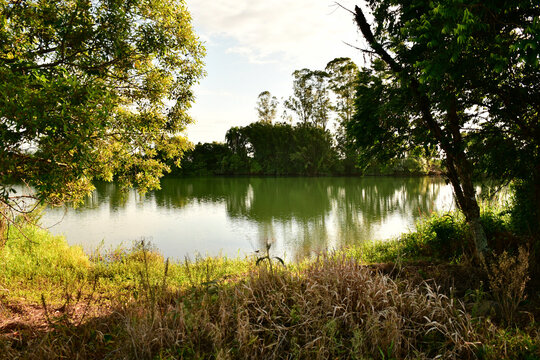 Paisagem de lago sereno com &aacute;rvores verdes exuberantes ao p&ocirc;r do sol