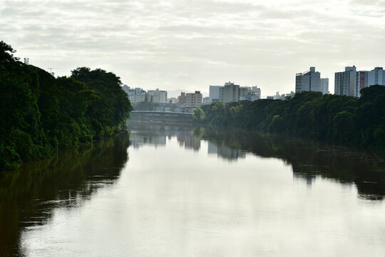 Horizonte urbano e rio com margens verdes exuberantes