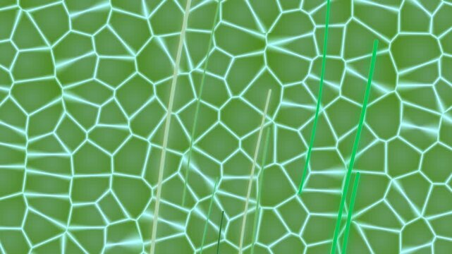 Green leaf veins pattern close-up