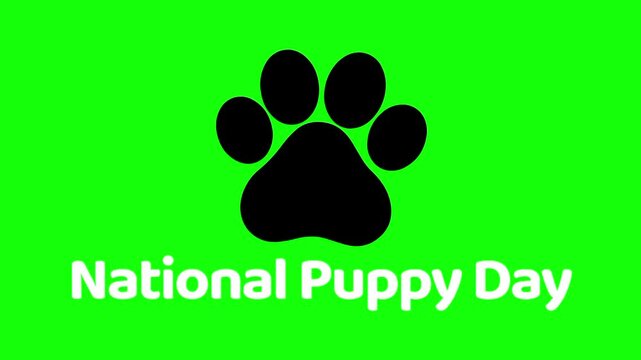 National Puppy Day text animation concept with single black dog paw bread vector icon symbol popup. Animated word design, editable lettering motion graphic video template with green screen background.