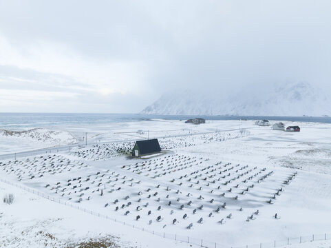 Aerial view of snow-covered racks stand in stark rows against the muted coastline, framed by the distant, misty mountains, Nordland, Norway.