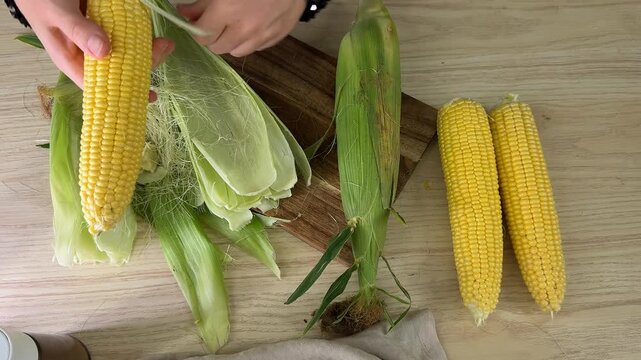 Hands shucking sweet corn on wooden table, fresh husks and silky leaves for cooking prep, rustic farm to table mood, harvest season and Thanksgiving meal planning