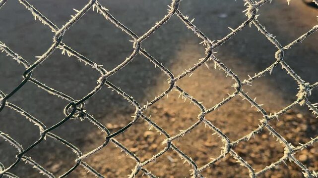 Macro close-up of a frosted grid, winter texture, ice crystals on a mesh pattern, abstract background, detailed frost pattern, cold season, texture photography