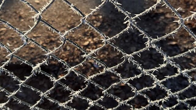 Macro close-up of a frosted grid, winter texture, ice crystals on a mesh pattern, abstract background, detailed frost pattern, cold season, texture photography