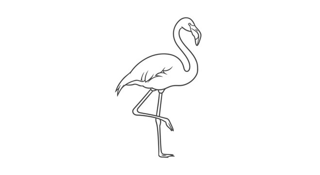 bango bird