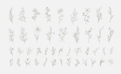 Plakat Set of hand drawn flowers and plants. Minimalist forms with elegant botanical elements for invitation, save the date card. Botanical rustic trendy greenery vector illustration