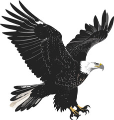Fototapeta premium Eagle Silhouette Vector Illustration Black and White